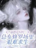 小漂亮npc美貌值爆表