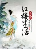 贾敏的红楼生活